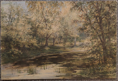 Лесное озеро, 1886 г..jpg
