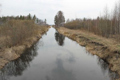 IMG_5278 Шитовский канал в сторону озера.JPG