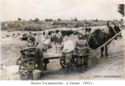 Колхоз 2я пятилетка д. Сигово. 1943.jpg