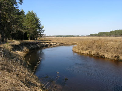 P4300039 река Вязьма.JPG