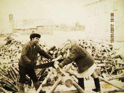 Заготовка дров у Белых домов в Сатыгино. 60-е годы..JPG